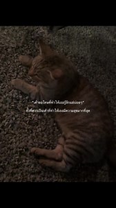 ขอโทษและการสร้างความรู้สึกดีๆ ในความรัก