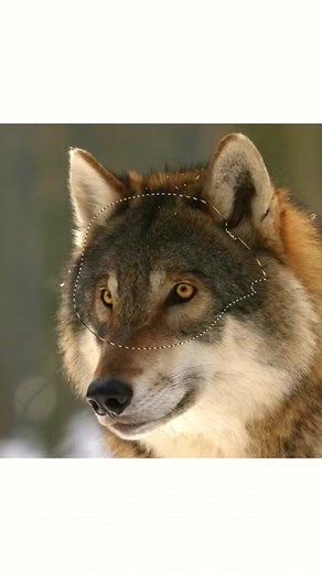 Creative DIY Ideas for Cute Mini Machines