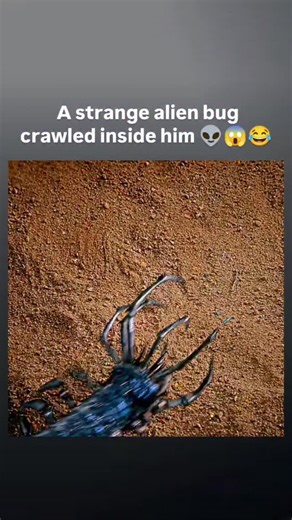 Furqan parwez on Instagram: "interesting facts Evolution - A strange alien bug crawled inside him When a meteor crashes in the desert, it brings fast-evolving alien life to Earth. As strange creatures begin to spread, one unlucky man becomes host to a creepy alien organism. What starts as a scientific mystery quickly turns into hilarious chaos. Mixing sci-fi thrills with slapstick comedy, the movie shows how ordinary people must stop an extraordinary invasion-using brains, teamwork, and some ver