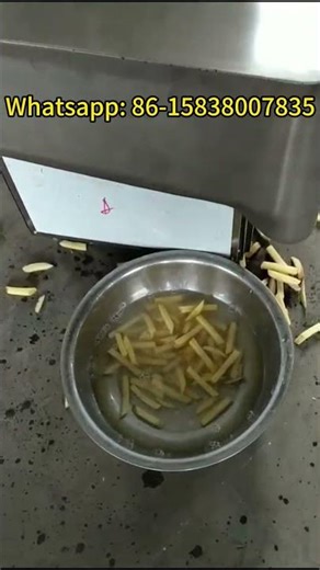 All-in-One Potato Processing Machine: Wash, Peel & Cut (Slices/Fries/Shreds) #machine #potato