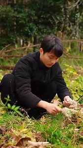 878K views · 10K reactions | The process of digging wild vegetables relieves stress and heals | Organic Culture | Facebook