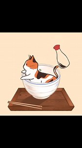 Meowaholic on Instagram: "What are cats made of? Cre: Mj.majcha"