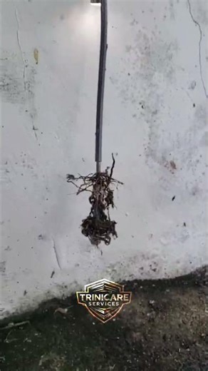 Total Toilet Blockage? 🚽 How to Avoid a Disaster Before It Happens | Trinicare Plumbing Solutions