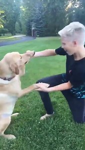 Let me see you make a Musical.ly dancing with your pet(s) to your fav song with hashtag #DanceWithYourPet 󾌪󾆷 and I'll be liking my favs! | Carson Lueders