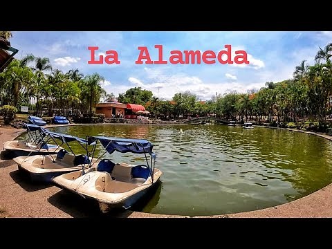 Parque LA ALAMEDA Cuernavaca Morelos