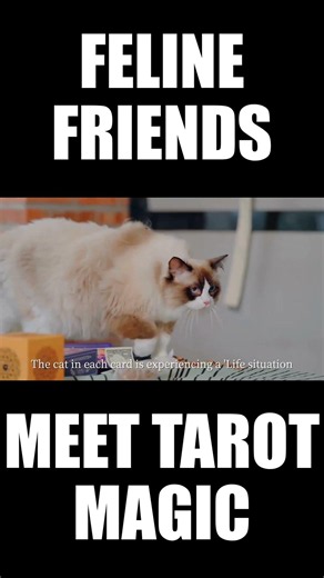 Now on Kickstarter: The Cat's Tarot Of Wondrous Journeys