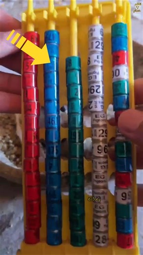 خاتم الحمام يوضع علی الحمامة وهي بعمر صغير 😧!