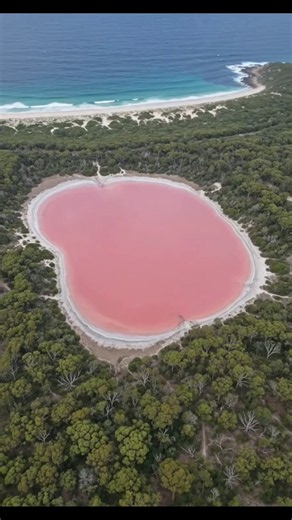 Pink Lake Australia | Lake Hillier Australia | World's Pink Lake | The Pink Lake of Australia