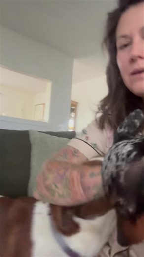 Who is the pushiest with the morning cuddles? The smallest one who can climb right on me? Or the big one that just pushes us both over? 😂 | It's a FLUFF LIFE