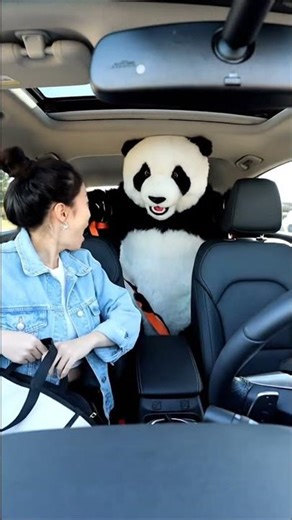This Panda scared the life out of her! 🐼😱 #shorts