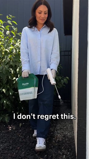 Getting rid of bugs doesn't have to cost you hundreds. Pestie is the DIY cost-effective solution that only takes minutes to apply! ✅  1/4 the cost of pest control companies ⚡️ Spray only 4x a year  Works on 100+ types of bugs  Family & pets friendly  Easy to apply & works indoors | Pestie | Facebook