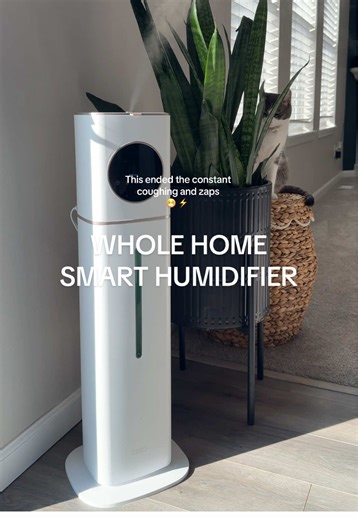 Smart Whole Home Humidifier Review and Benefits