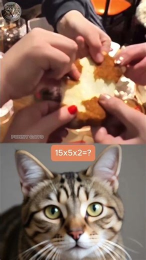 stretched cheese😂