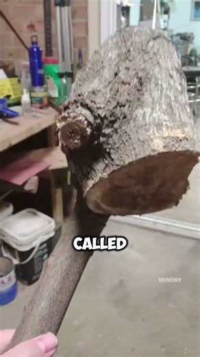 This Irish Walking Stick Was Actually a Powerful Weapon!