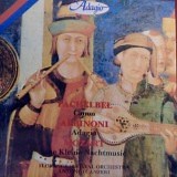 Florence Festival Orchestra - Adagio