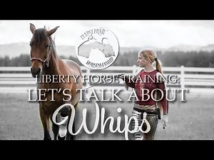 Let’s Talk About Whips: HOW and WHY I use Two Whips for Liberty Horse Training #equestrian