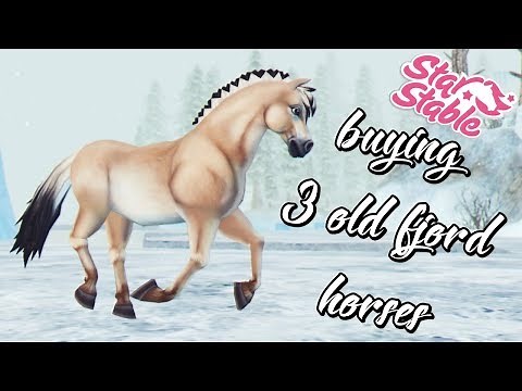 [SSO] BUYING 3 OLD FJORD HORSES!