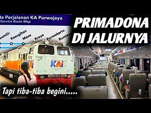 Kereta Eksekutif Andalan Orang Banyumas | Naik Kereta Api Purwojaya (Cilacap - Gambir)