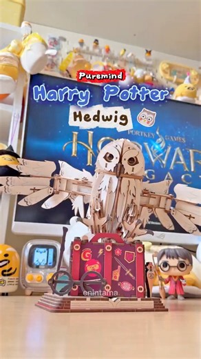 Building my own Hedwig! 🦉✨ #harrypotter #puremind