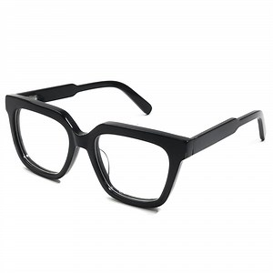 [Hot Item] 2025 New Trendy Designer Eyeglasses Frame Acetate Optical Frame Eyewear