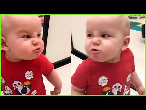 You Laugh You Lose 🤗 - The Funniest Baby Video Series Of The Week 😂🤣
