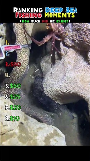 Ranking My Insane Deep Sea Catches Pt. 10 (Wealth Revealed!) #fishing