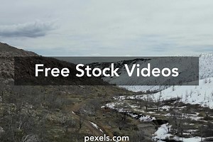 Big Octopus Videos, Download The BEST Free 4k Stock Video Footage & Big Octopus HD Video Clips