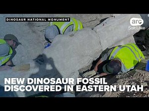 New fossils found during construction at Dinosaur National Monument parking lot