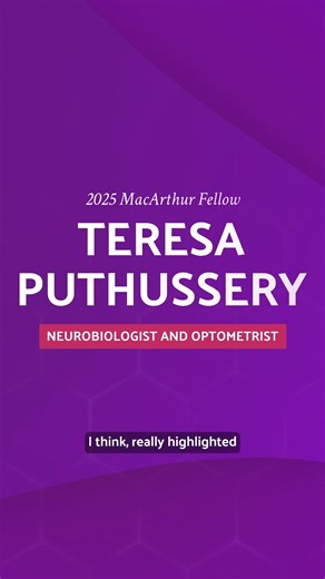 MacArthur Foundation on Instagram: "Teresa Puthussery is a neurobiologist, optometrist, and 2025 #MacFellow exploring how neural circuits of the retina encode visual information for the human brain. Her research into retinal ganglion cells is filling a long-standing gap in knowledge about the human visual system. In this clip, she shares how an experience with a young, low vision patient inspired her interest in neurobiology. Learn more about her work at the link in bio!"