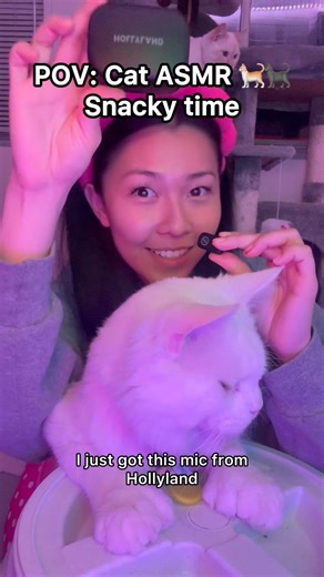 First time doing cat ASMR!! #catasmr #asmr #pov #cat