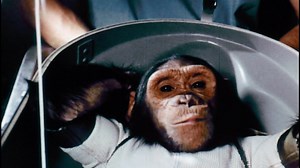 NASA's First Chimp in Space