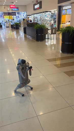 Look what the robot dog did!