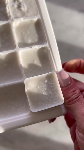 Nutrition Boost: Coconut Milk Ice Cubes Smoothie