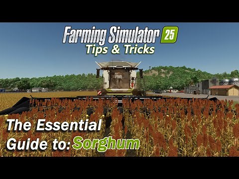 The Essential Guide to Sorghum in Farming Simulator 25
