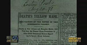 The Work of the Public Health Service