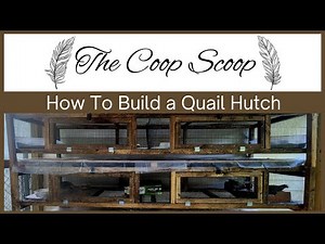 How To Build a Quail Hutch
