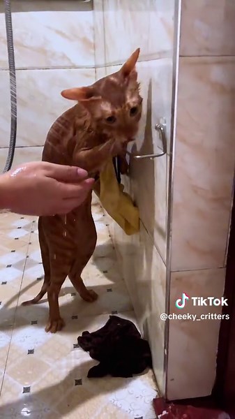 This Isn’t Self-Care, It’s Torture!