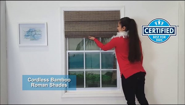 Radiance Cordless Blinds for Porch, Patio and Sunroom, Waterproof Sunshades, Sand Dollar, 48" x 72"