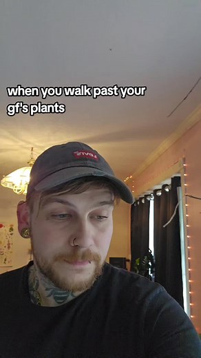 Unraveling the Mystery: Exploring the World of Houseplants