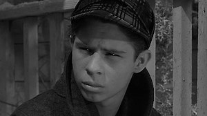 Watch Tales of Wells Fargo Season 3 Episode 15 - The Happy Tree