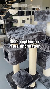 1.7K views | 5 Reasons Why Your Cat Deserves a Cat Tree!  1️⃣ Stay...