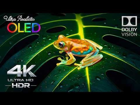 Ultra Realistic OLED Test in 4K HDR 120 FPS Dolby Vision (8K/4K TV)