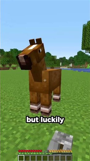 How To Get The Fastest Horse In Minecraft!