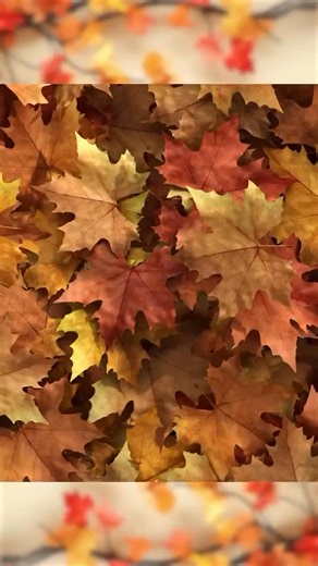 A heartfelt Chuseok message from Hyun Bin🤍 Wishing you and your loved ones a warm and joyful Chuseok. May your days be filled with peace, laughter, and cherished moments that last a lifetime. 행복한 추석 보내세요 🌕✨ #Chuseok #HappyChuseok #HyunBin #ChuseokGreetings #추석 #추석인사 #KoreanThanksgiving #추석연휴 #HeartfeltWishes #PeaceAndJoy Cre: solaireresort🙏 @vast.ent @yejinhand #madeinkorea #VAST엔터테인먼트 #현빈 #hyunbin #손예진 #yejinhand #sonyejin #fblifestyle #BINJIN #Hyunbinactor #Hyunbin_rheem2730 #Queen_rheem273