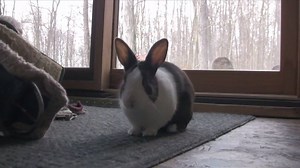 Best friends :-) | It's Kitty Cat Time