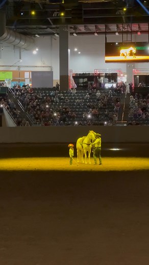 RTTH 2025 | Double Dan Horsemanship