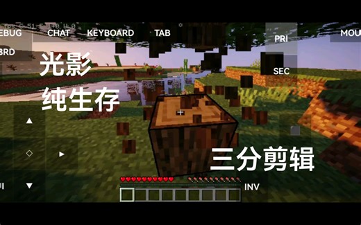 "低创 实录：挑战Java版纯生存！"