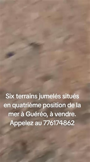 1.7K views · 16 shares | Chérif Assane Fall Mbaye on Reels | Facebook