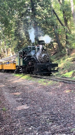 Experience the RC&BT Heisler #2 Train at Grizzly Flats