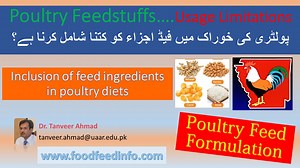 Inclusion of feed ingredients in poultry diets - FoodFeedInfo
